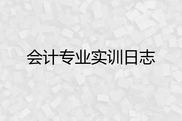 会计专业实训日志