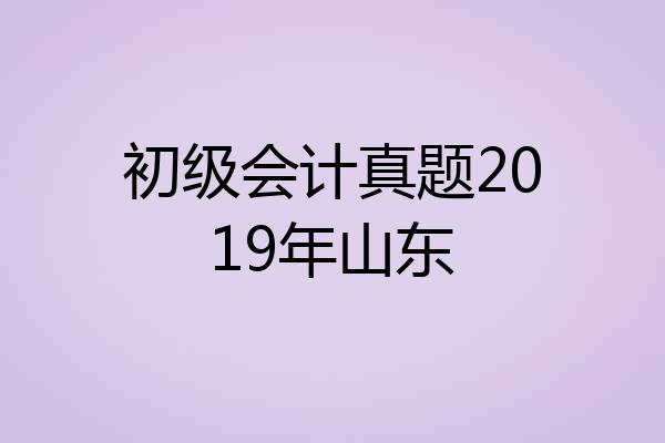 初级会计真题2019年山东