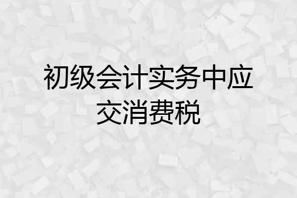 初级会计实务中应交消费税