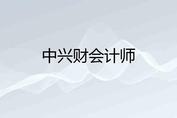 中兴财会计师