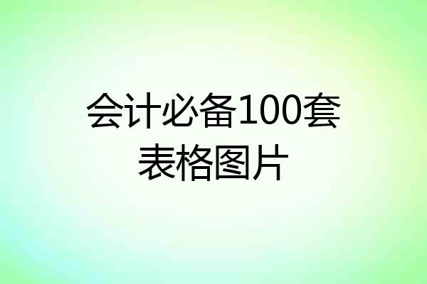 会计必备100套表格图片