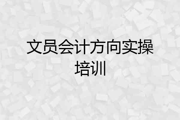 文员会计方向实操培训