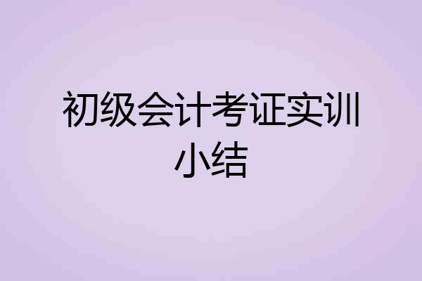 初级会计考证实训小结