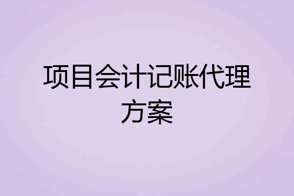 项目会计记账代理方案