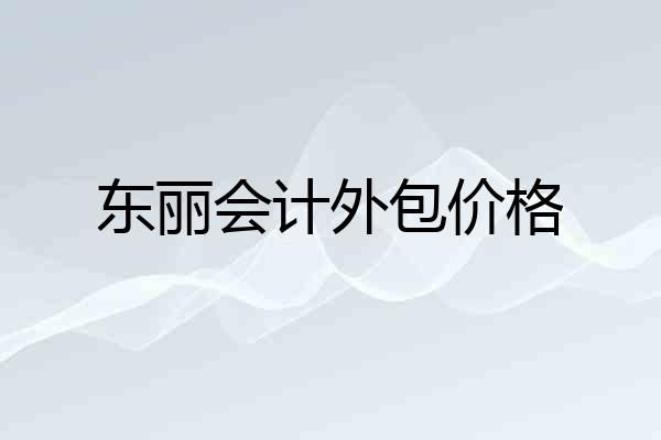 东丽会计外包价格