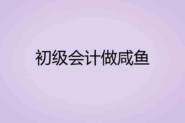 初级会计做咸鱼