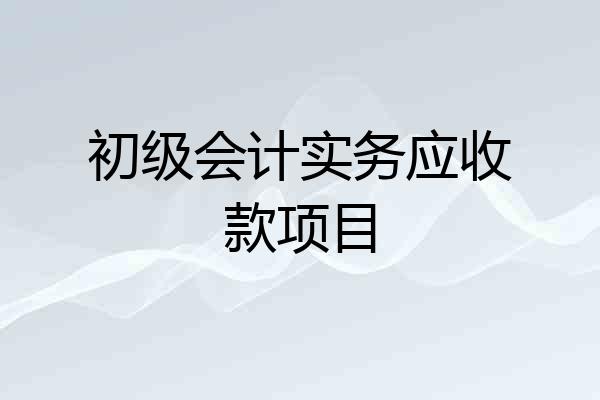 初级会计实务应收款项目