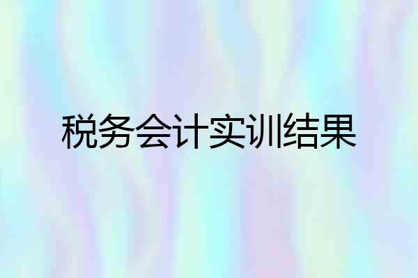 税务会计实训结果