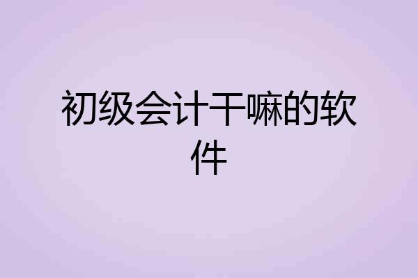 初级会计干嘛的软件