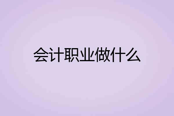 会计职业做什么