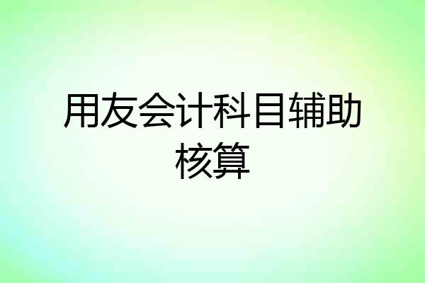 用友会计科目辅助核算