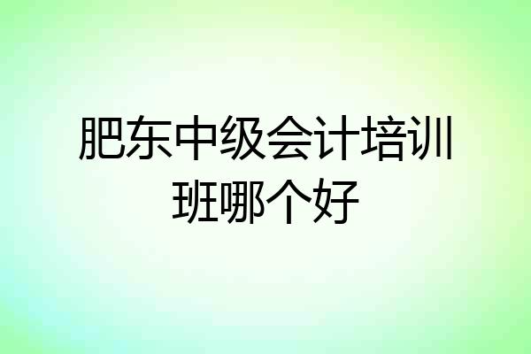 肥东中级会计培训班哪个好