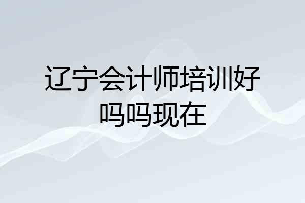 辽宁会计师培训好吗吗现在