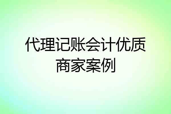 代理记账会计优质商家案例