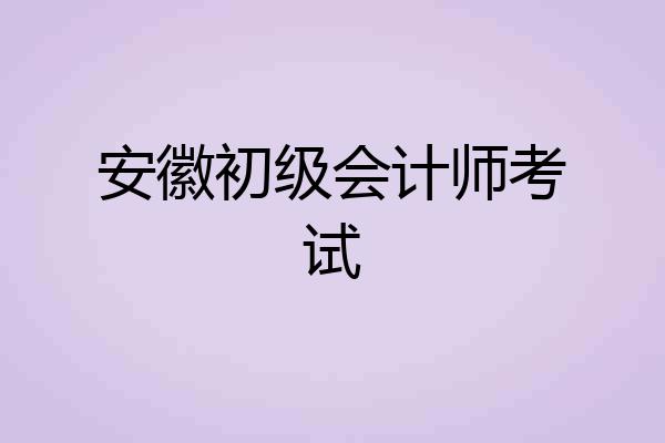 安徽初级会计师考试