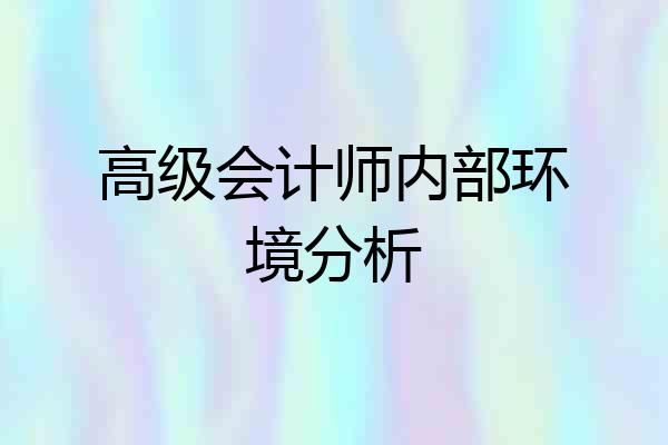 高级会计师内部环境分析