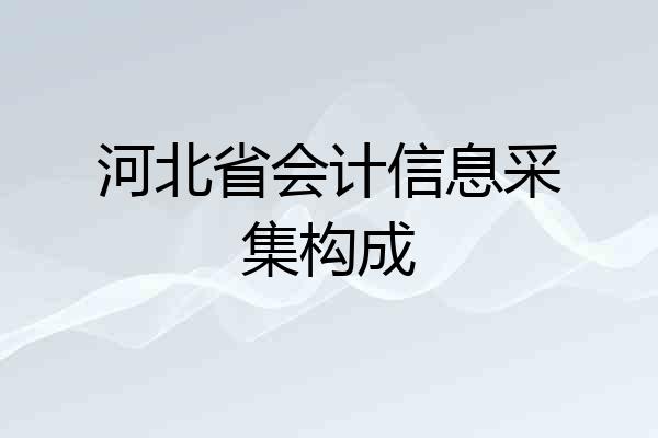 河北省会计信息采集构成