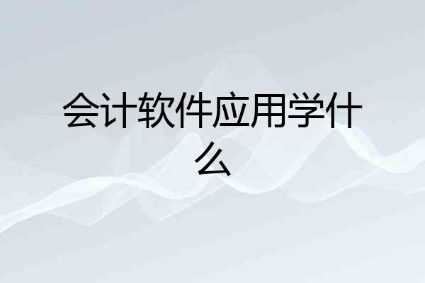 会计软件应用学什么