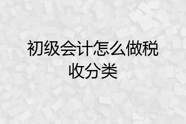 初级会计怎么做税收分类