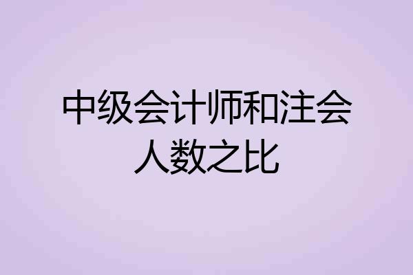 中级会计师和注会人数之比