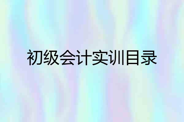 初级会计实训目录