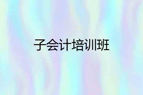 子会计培训班