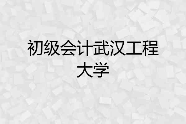 初级会计武汉工程大学