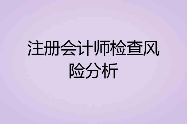 注册会计师检查风险分析