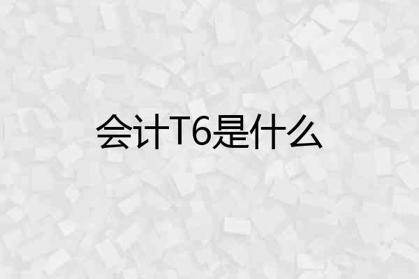 会计T6是什么
