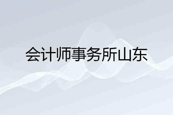 会计师事务所山东