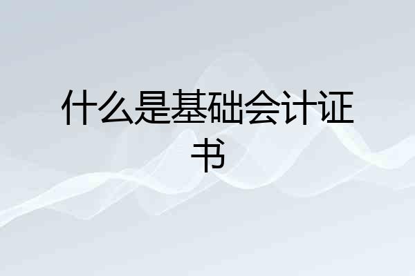 什么是基础会计证书
