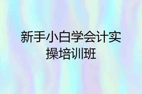 新手小白学会计实操培训班