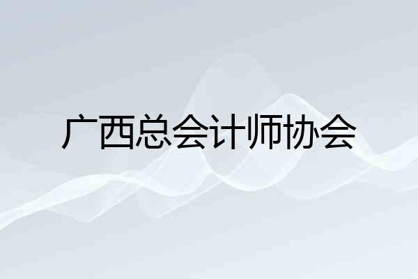 广西总会计师协会