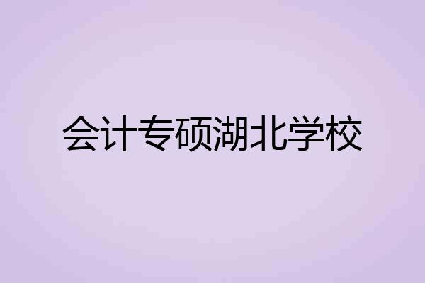 会计专硕湖北学校