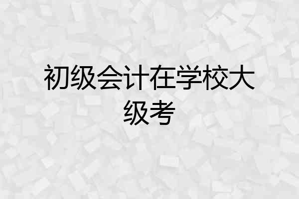 初级会计在学校大级考