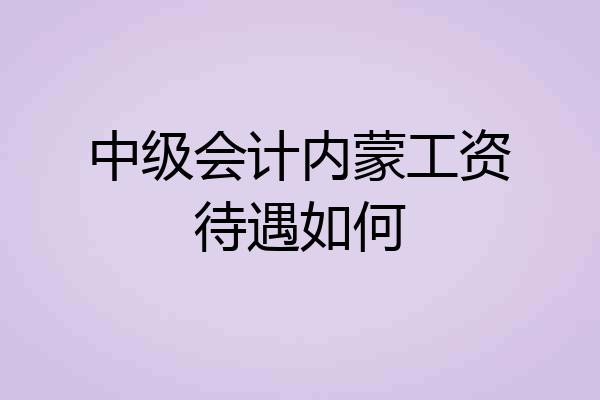 中级会计内蒙工资待遇如何