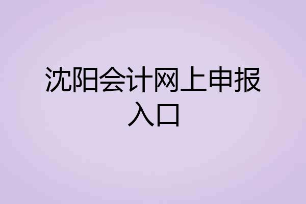 沈阳会计网上申报入口