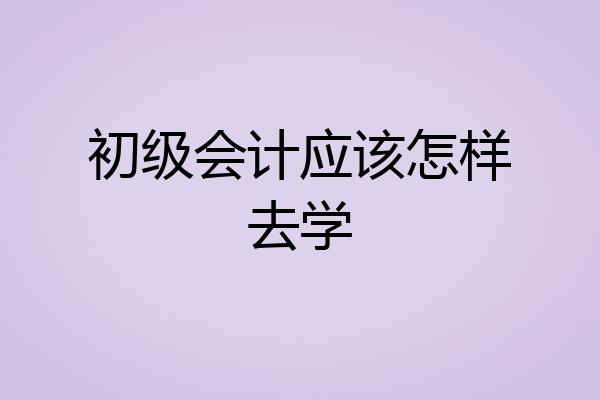 初级会计应该怎样去学