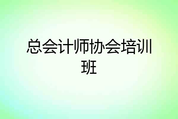 总会计师协会培训班