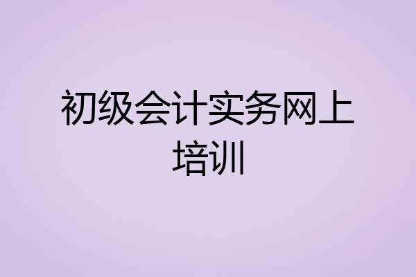 初级会计实务网上培训