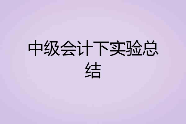 中级会计下实验总结