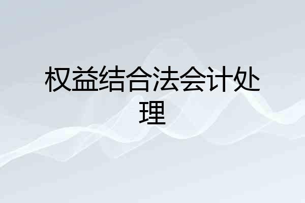 权益结合法会计处理