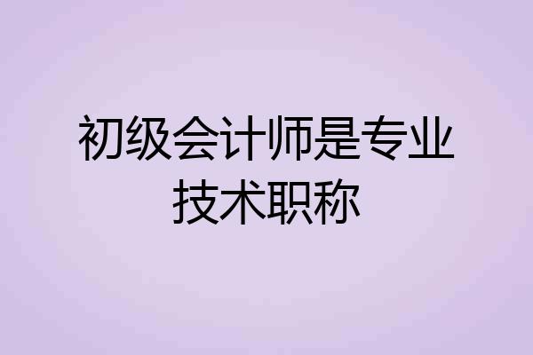 初级会计师是专业技术职称