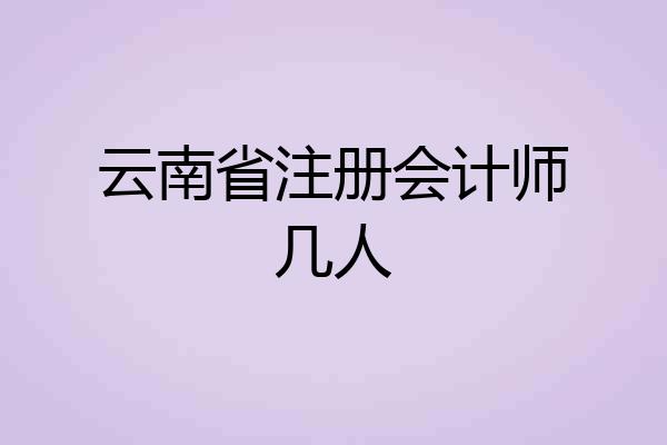 云南省注册会计师几人