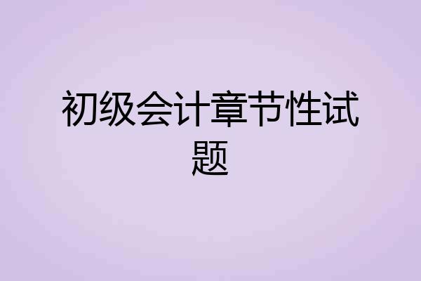 初级会计章节性试题