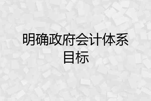 明确政府会计体系目标