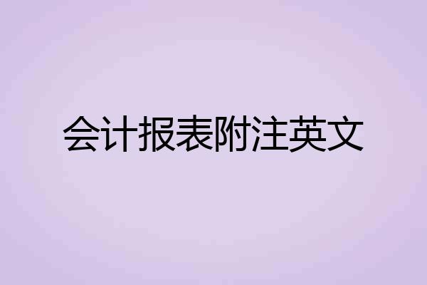 会计报表附注英文