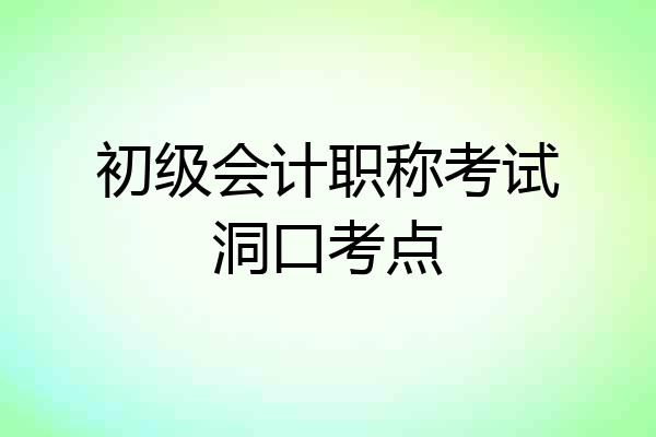初级会计职称考试洞口考点