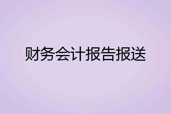 财务会计报告报送