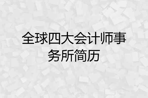 全球四大会计师事务所简历